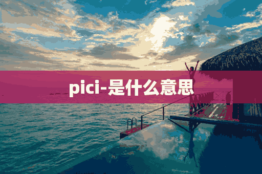 pici-是什么意思(批次是什么意思)